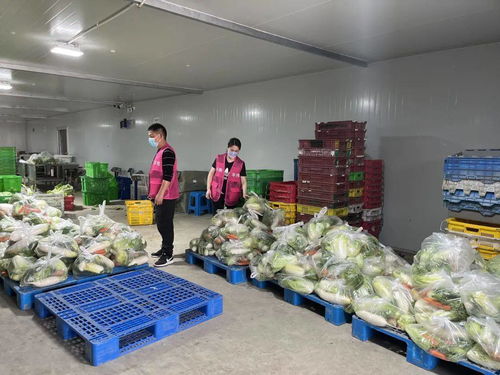 從十幾元到五六十元,上海奉賢為封閉管理小區配送農產品套餐