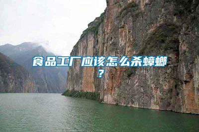 食品工廠應該怎么殺蟑螂?