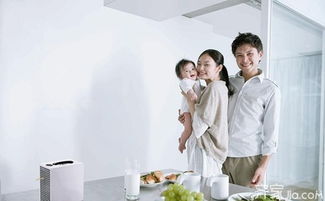室內空氣治理流程 給你一個空氣清新的環境